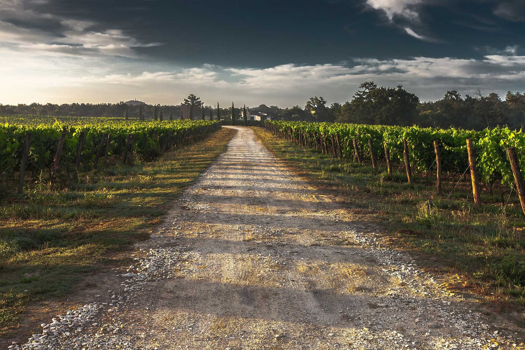 Best things to do in Tuscany Italy